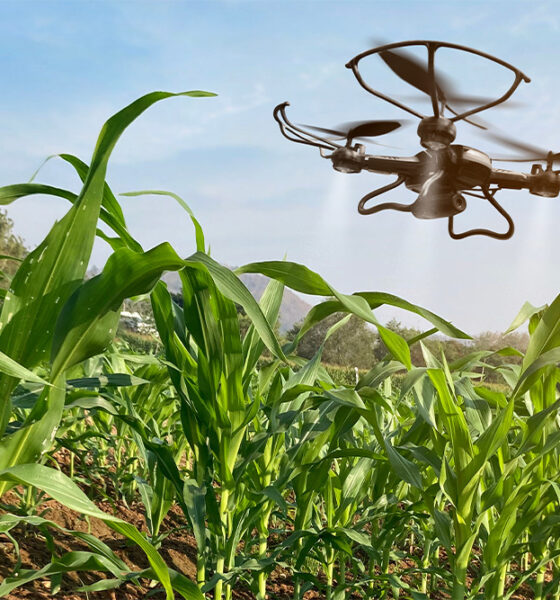 Levantan suspensión de drones para fertilización y monitoreo