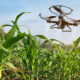 Levantan suspensión de drones para fertilización y monitoreo