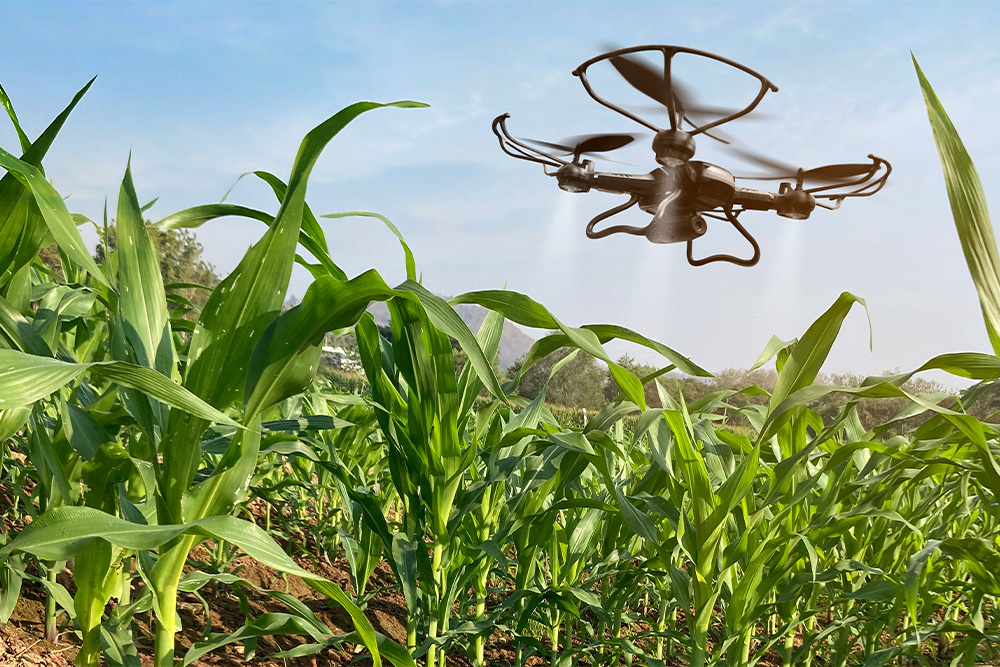Levantan suspensión de drones para fertilización y monitoreo