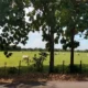 Fedeagro pide derogar Ley Agroalimentaria de 2008 y devolver fincas a sus dueños