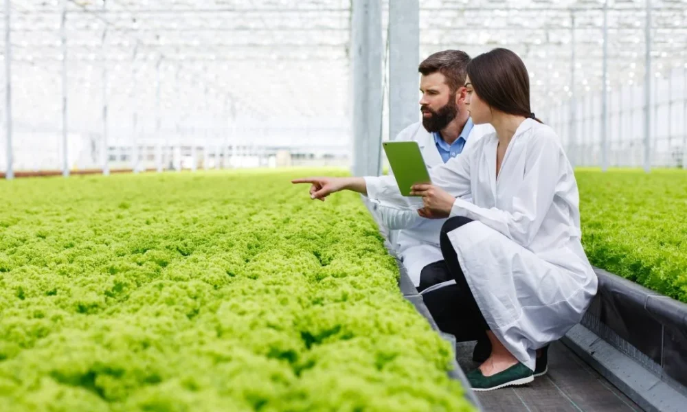 Experto ofrece curso gratuito sobre certificación agrícola orgánica