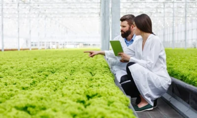 Experto ofrece curso gratuito sobre certificación agrícola orgánica