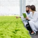 Experto ofrece curso gratuito sobre certificación agrícola orgánica