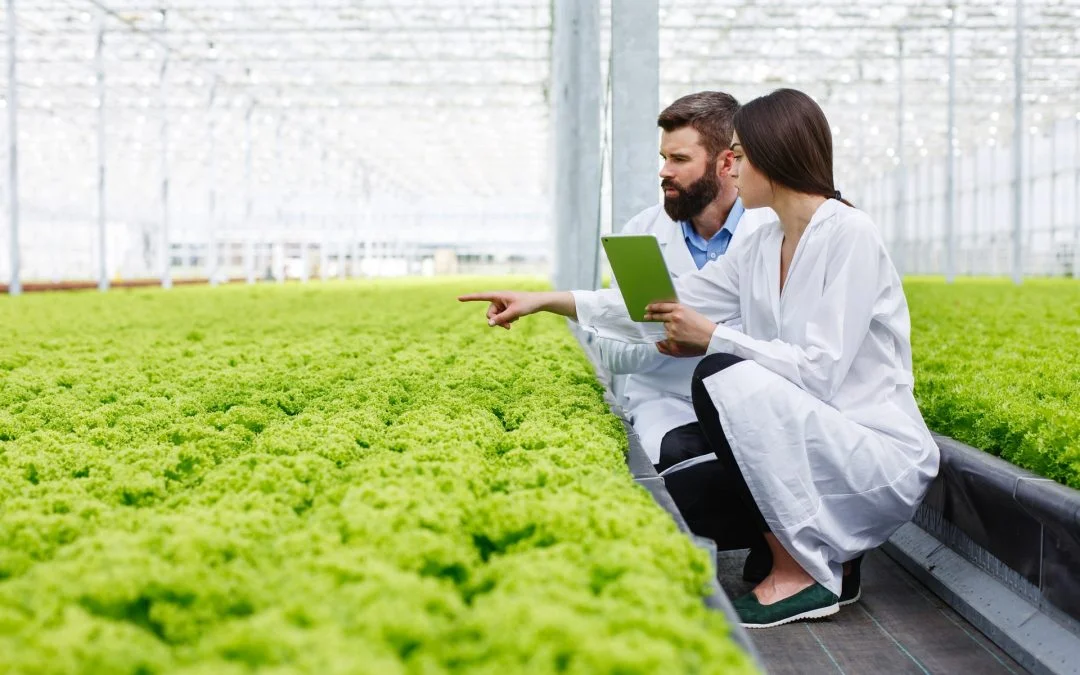 Experto ofrece curso gratuito sobre certificación agrícola orgánica