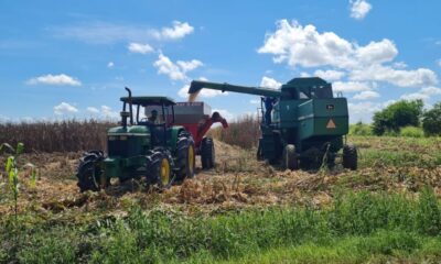 Agricultores se movilizan ante la quiebra del sector en Portuguesa